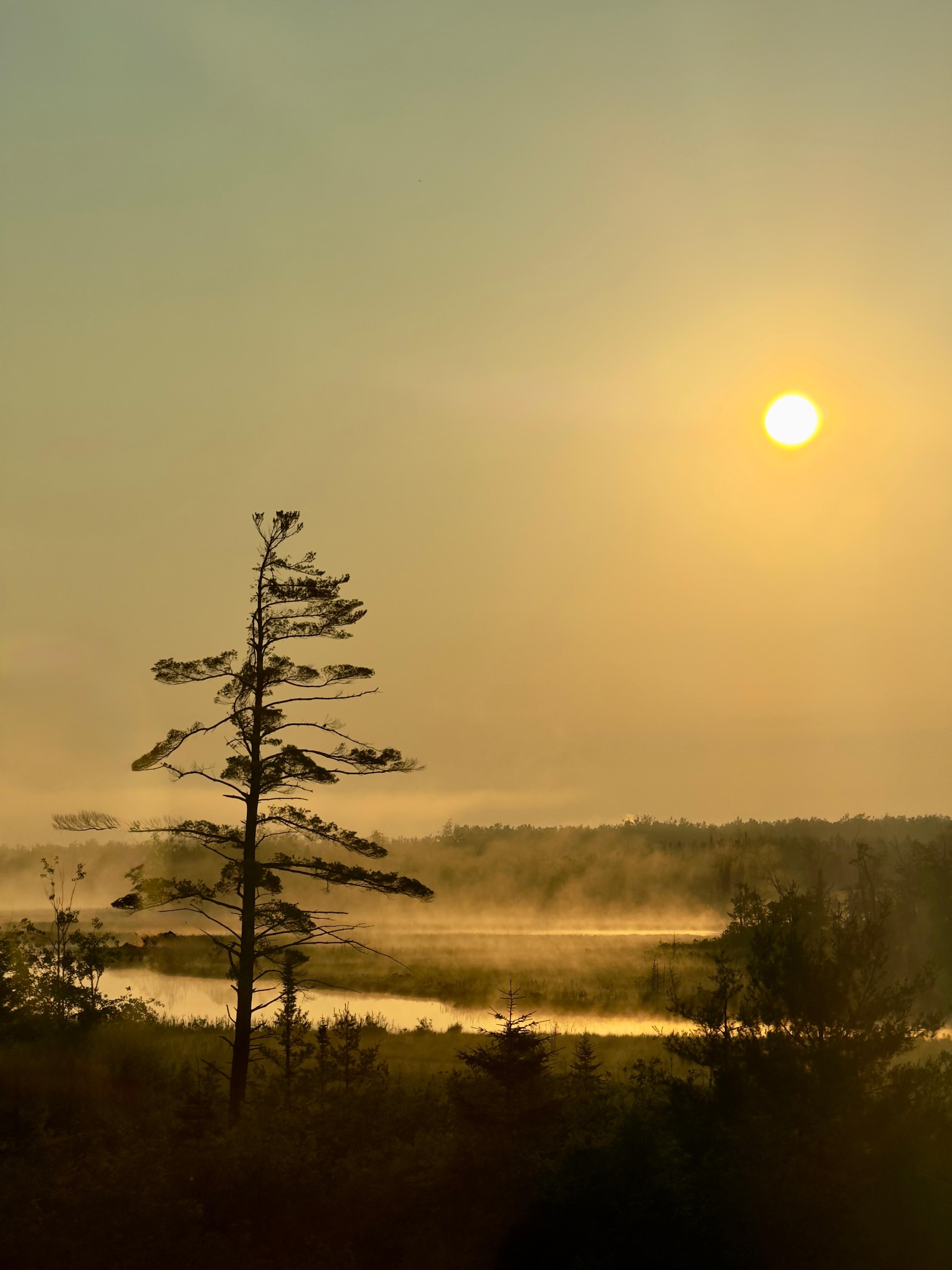 Morning sunrise with river mist.