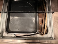 Dead palmetto/droppings