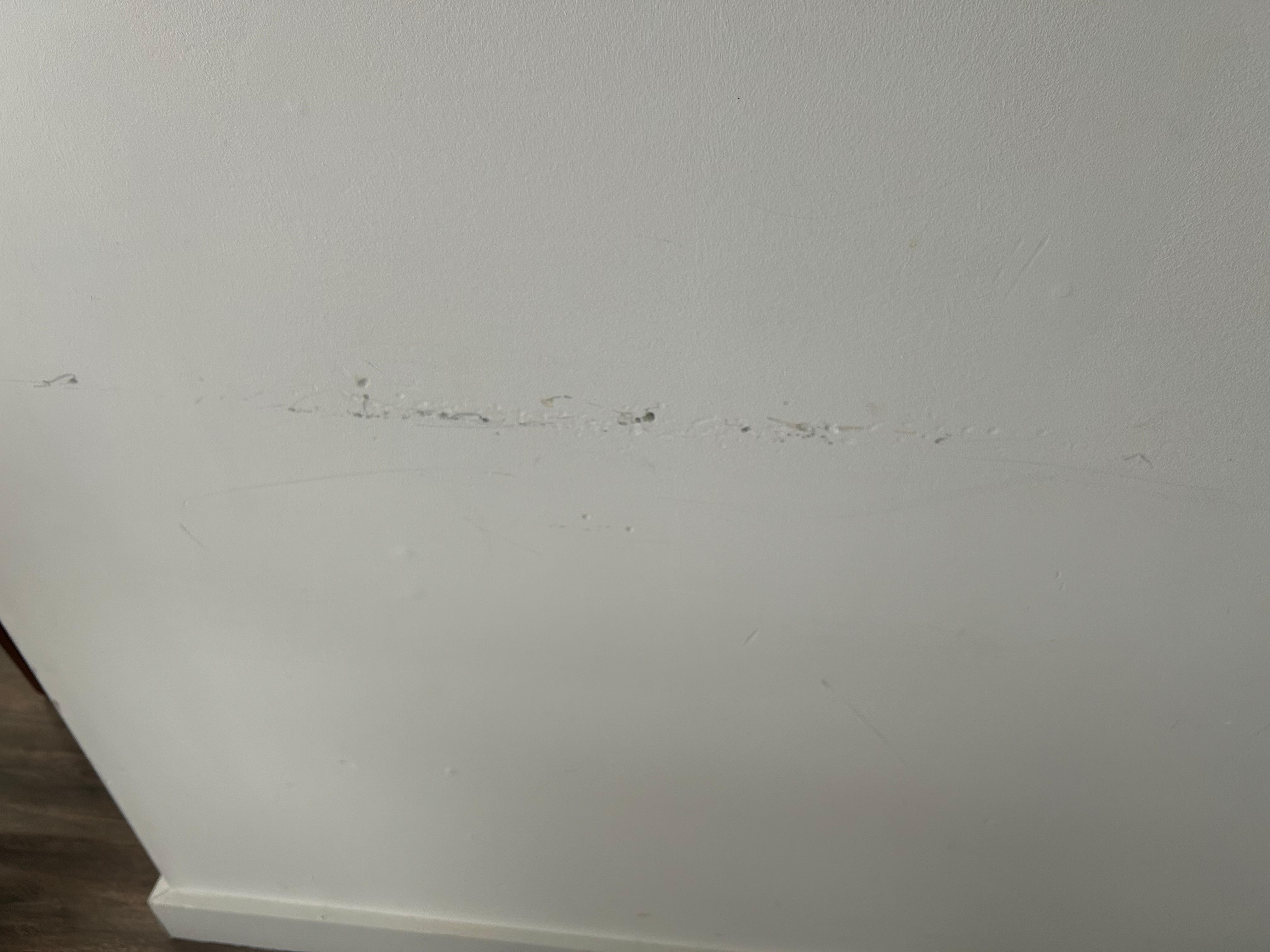 All these are just some of the pics 