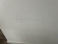 All these are just some of the pics