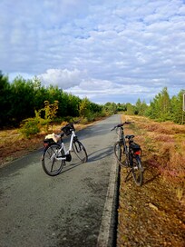 Radweg am Bärwalder See