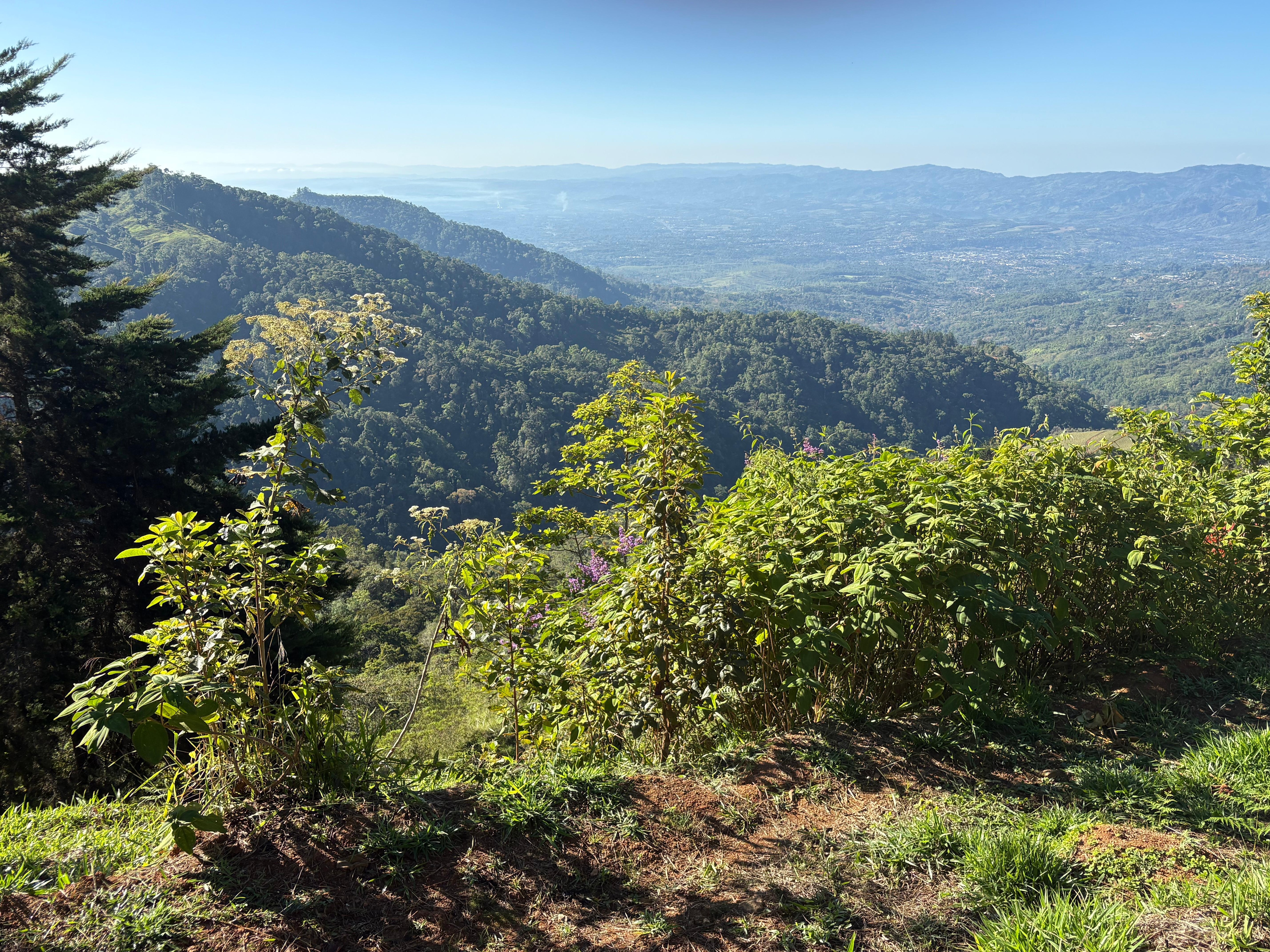 View from balcony in bungalow