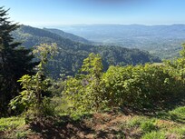 View from balcony in bungalow