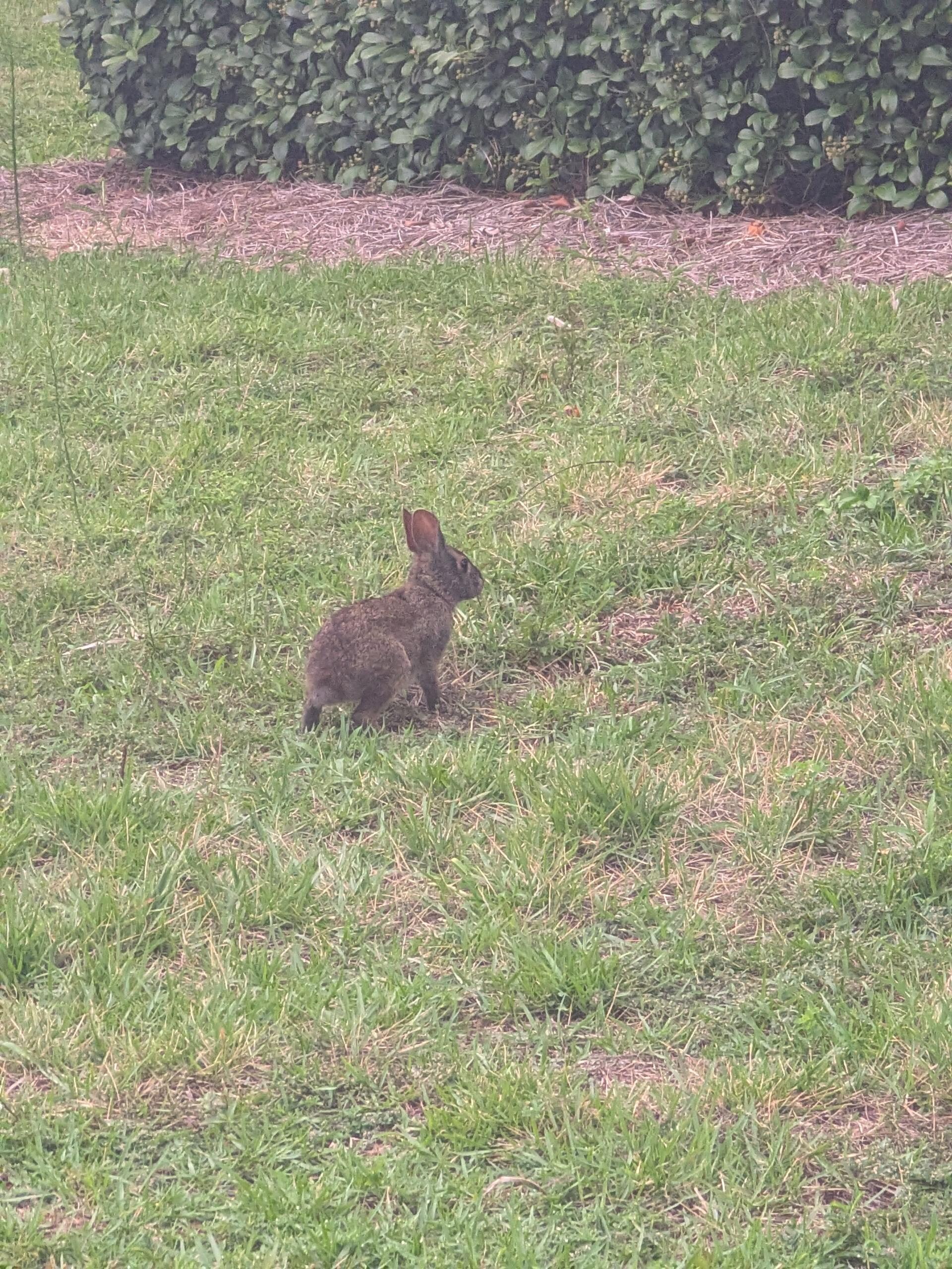 Next to the West pool.