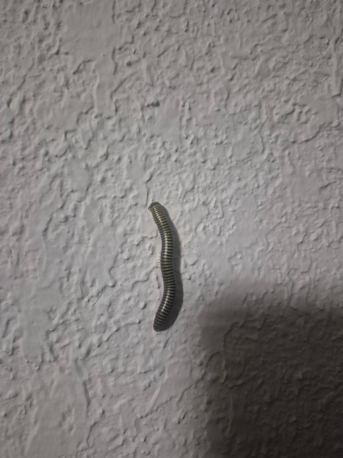 This was on the wall inside the room.