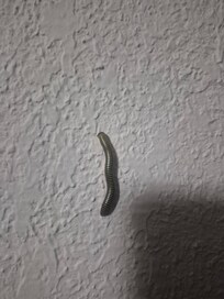 This was on the wall inside the room.