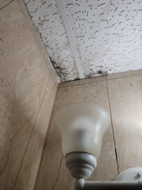 Mold on ceilings