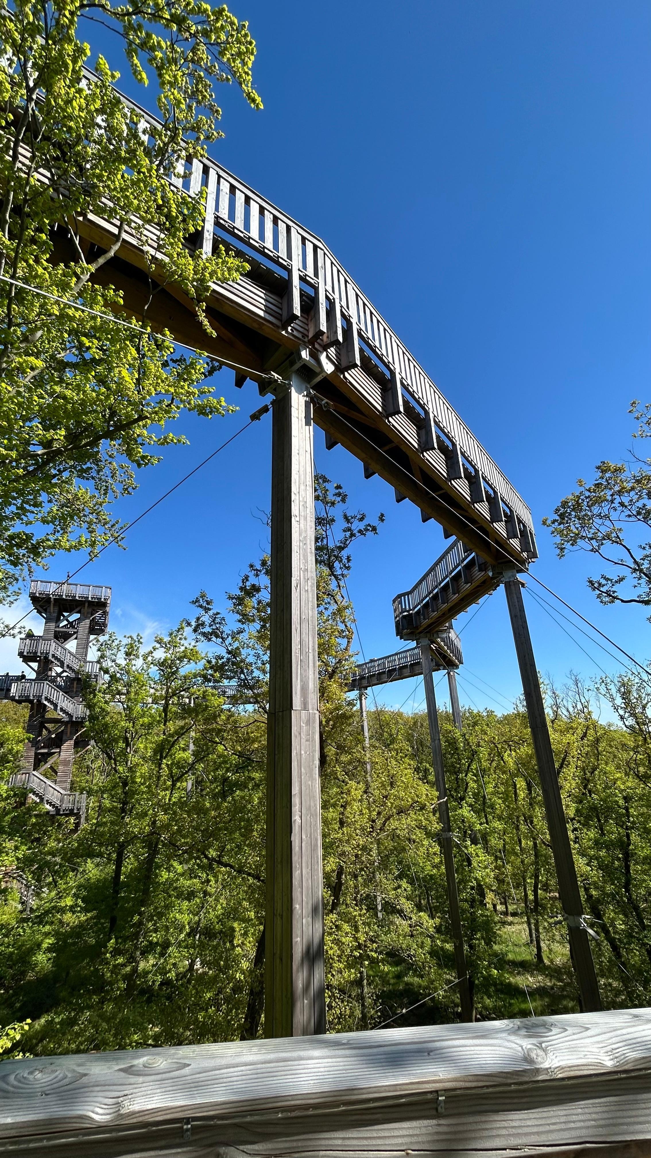 Ein Besuch des Baumwipfelwegs bei Bad Camberg (nahe der Unterkunft) ist absolut empfehlenswert.