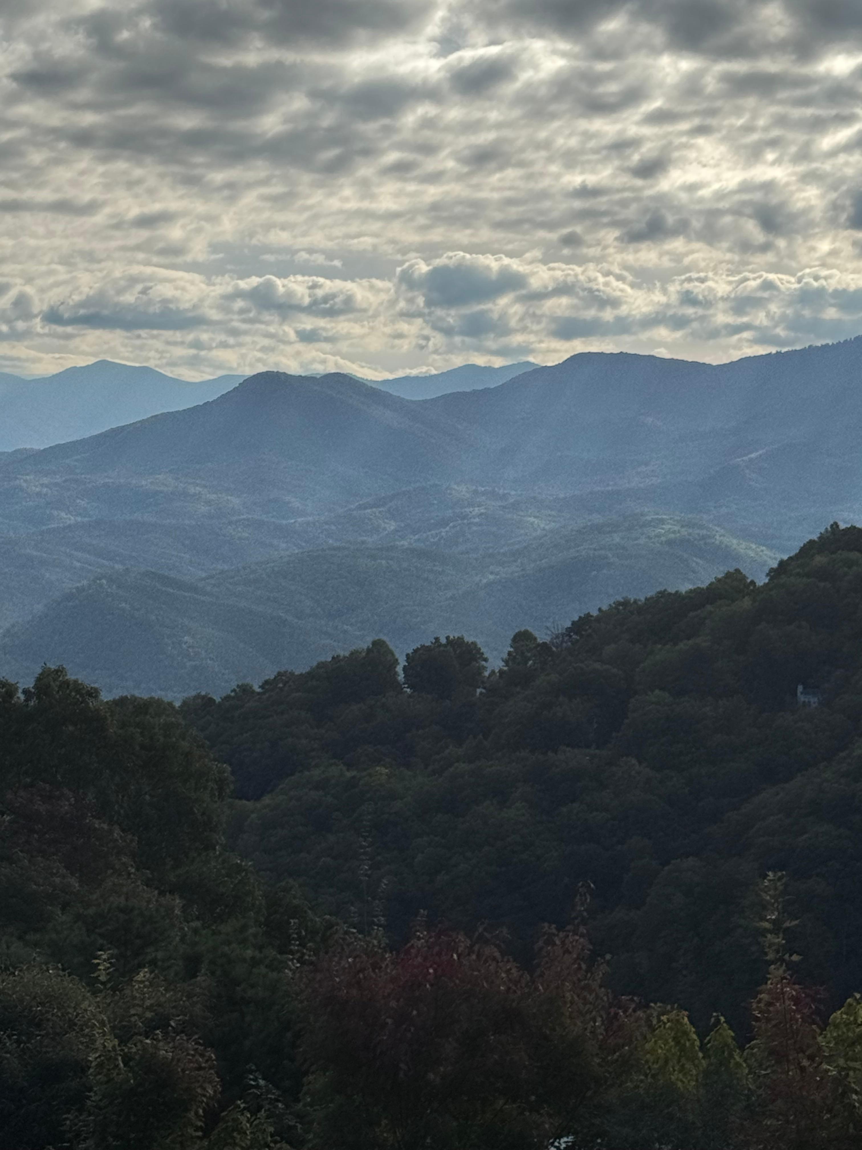 View from balcony, 10/11/25