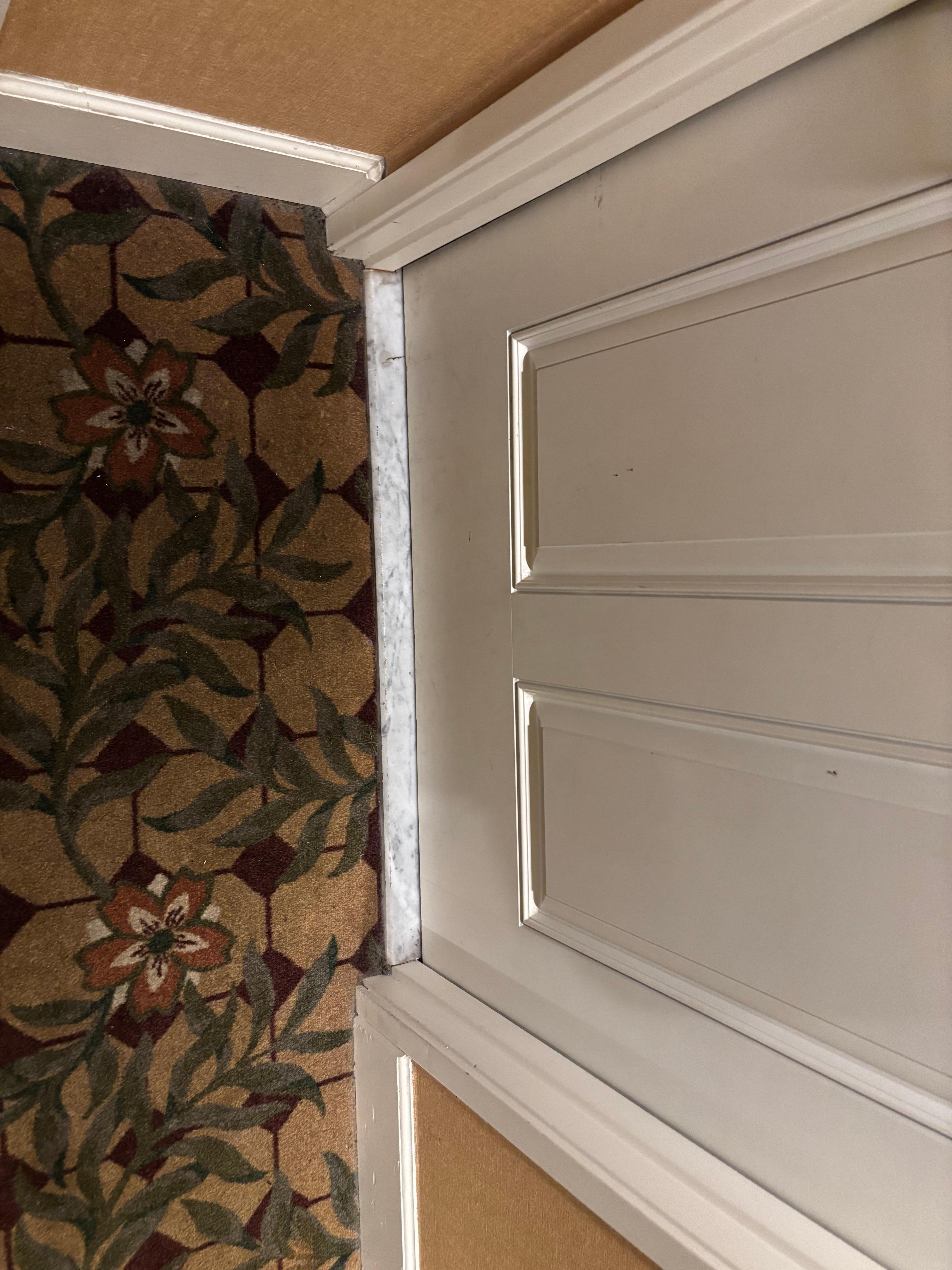 Taken the same time as the first picture. This was the front door of another room that was further down the hall. In fact, almost only the two rooms closest to the elevators had bugs outside the front doors.