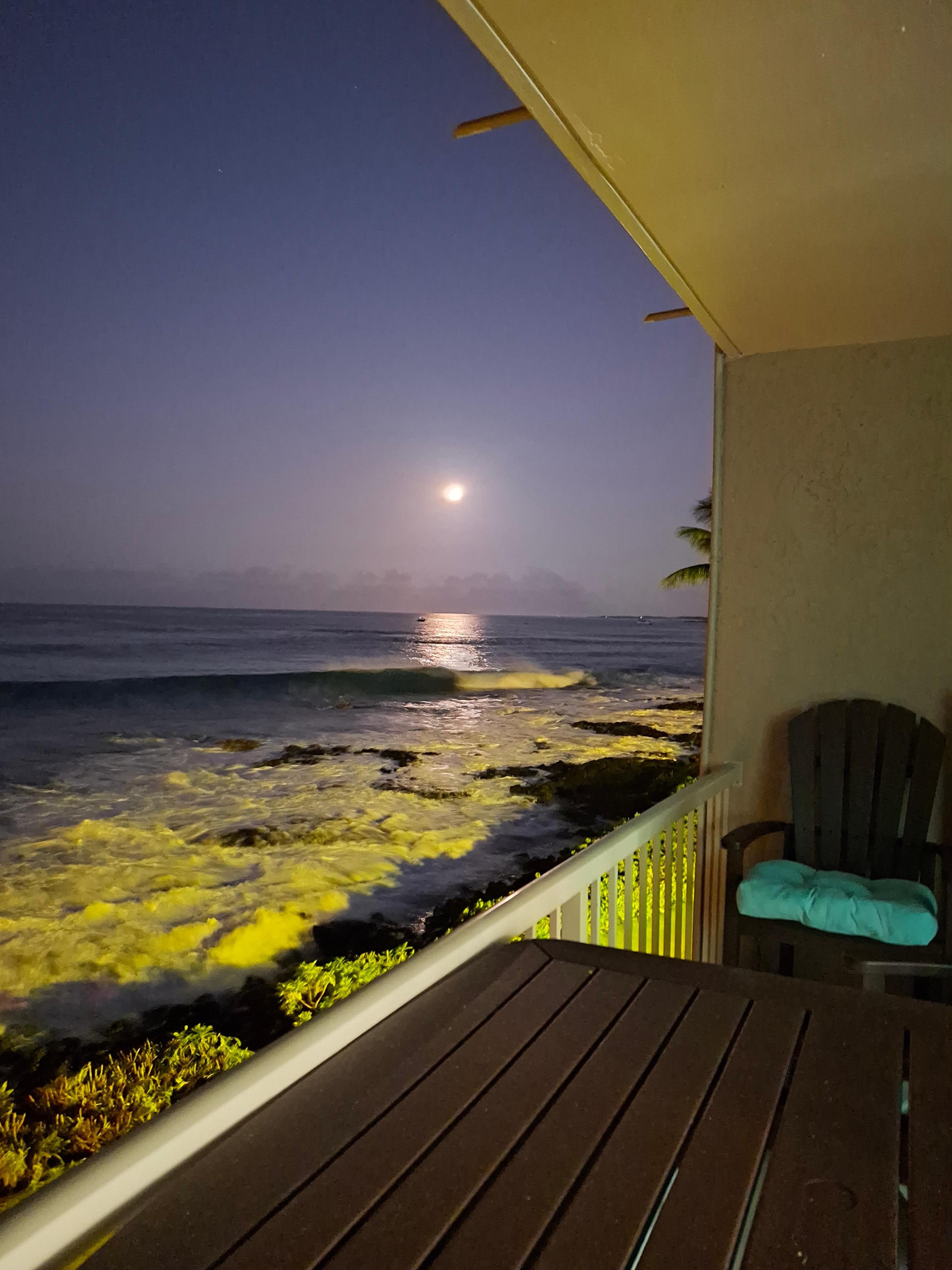 Beautiful shot of the Moon from our Lanai!