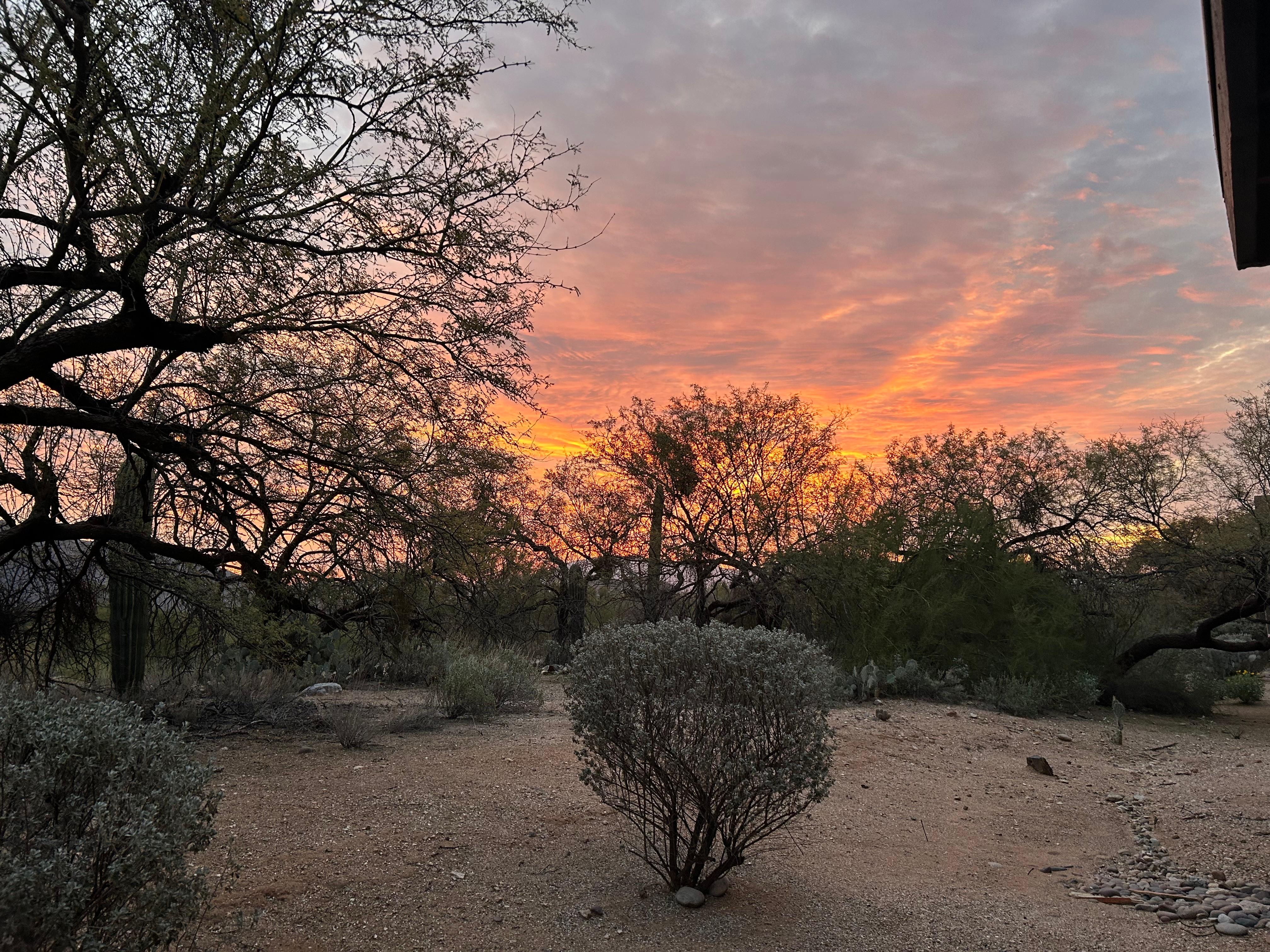 Beautiful sunrise from back patio 