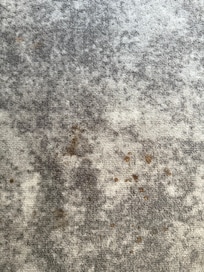 The carpet in the room was not clean and was not replaced