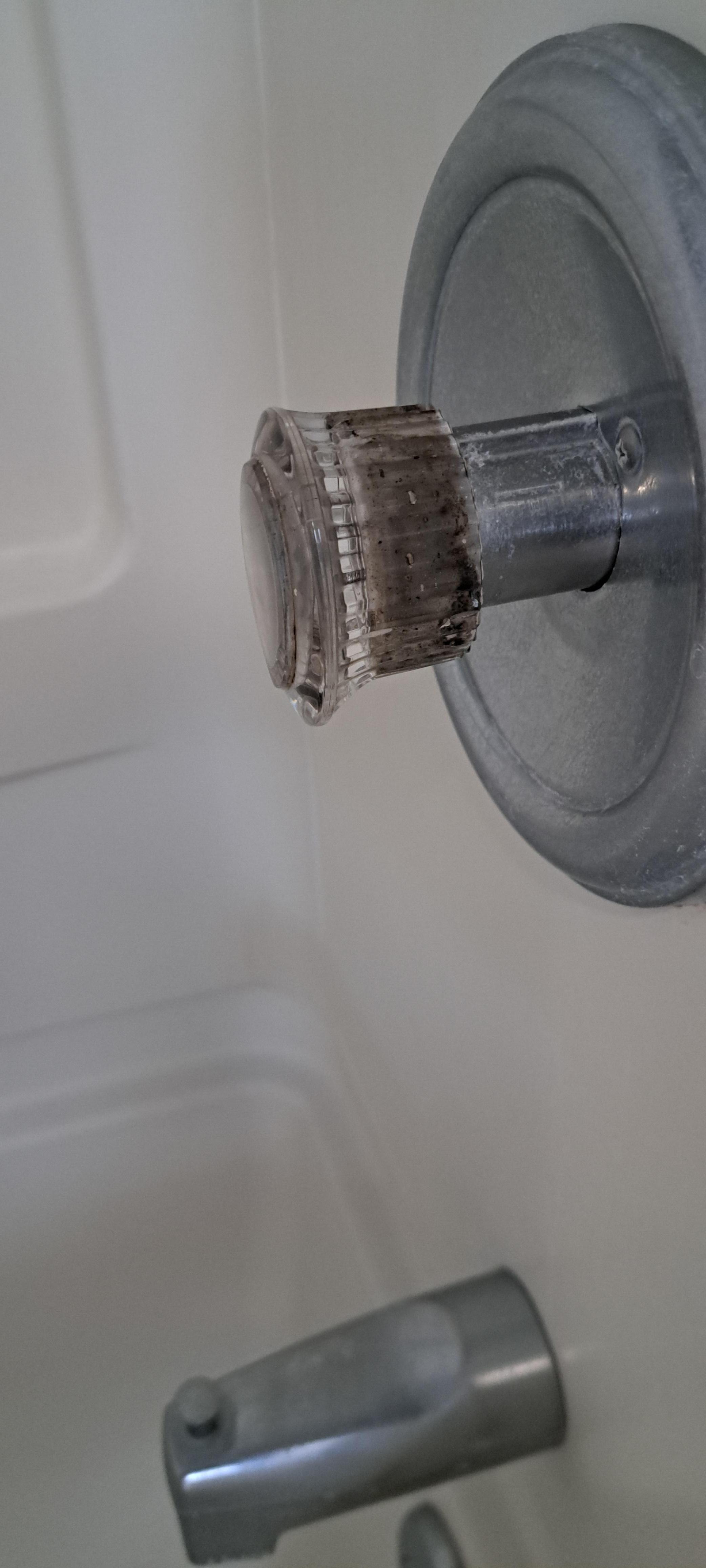 Mold