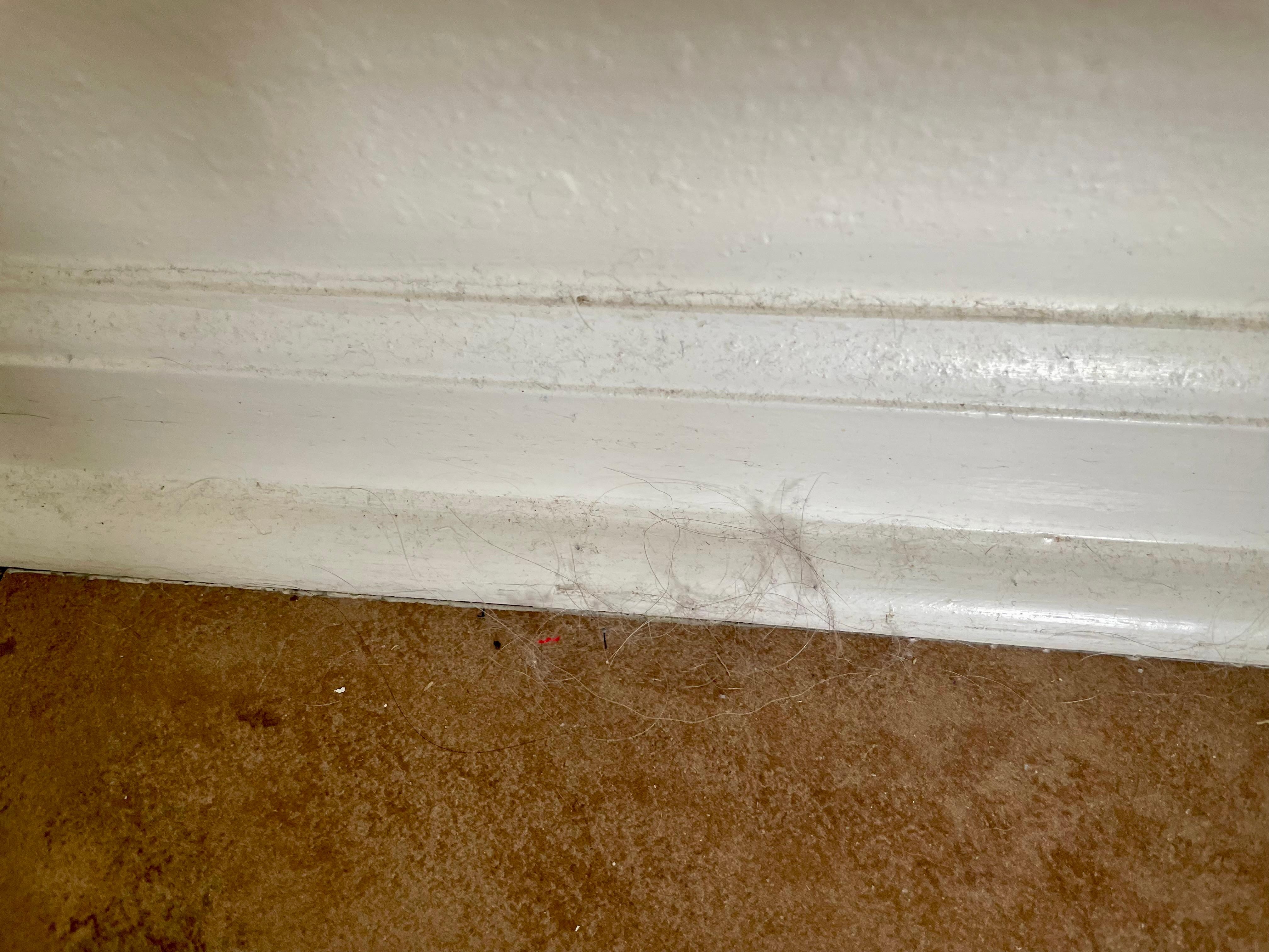 Baseboards full of dust and hairballs.