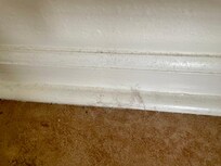 Baseboards full of dust and hairballs.