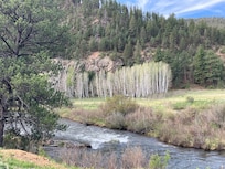 Views while walking.