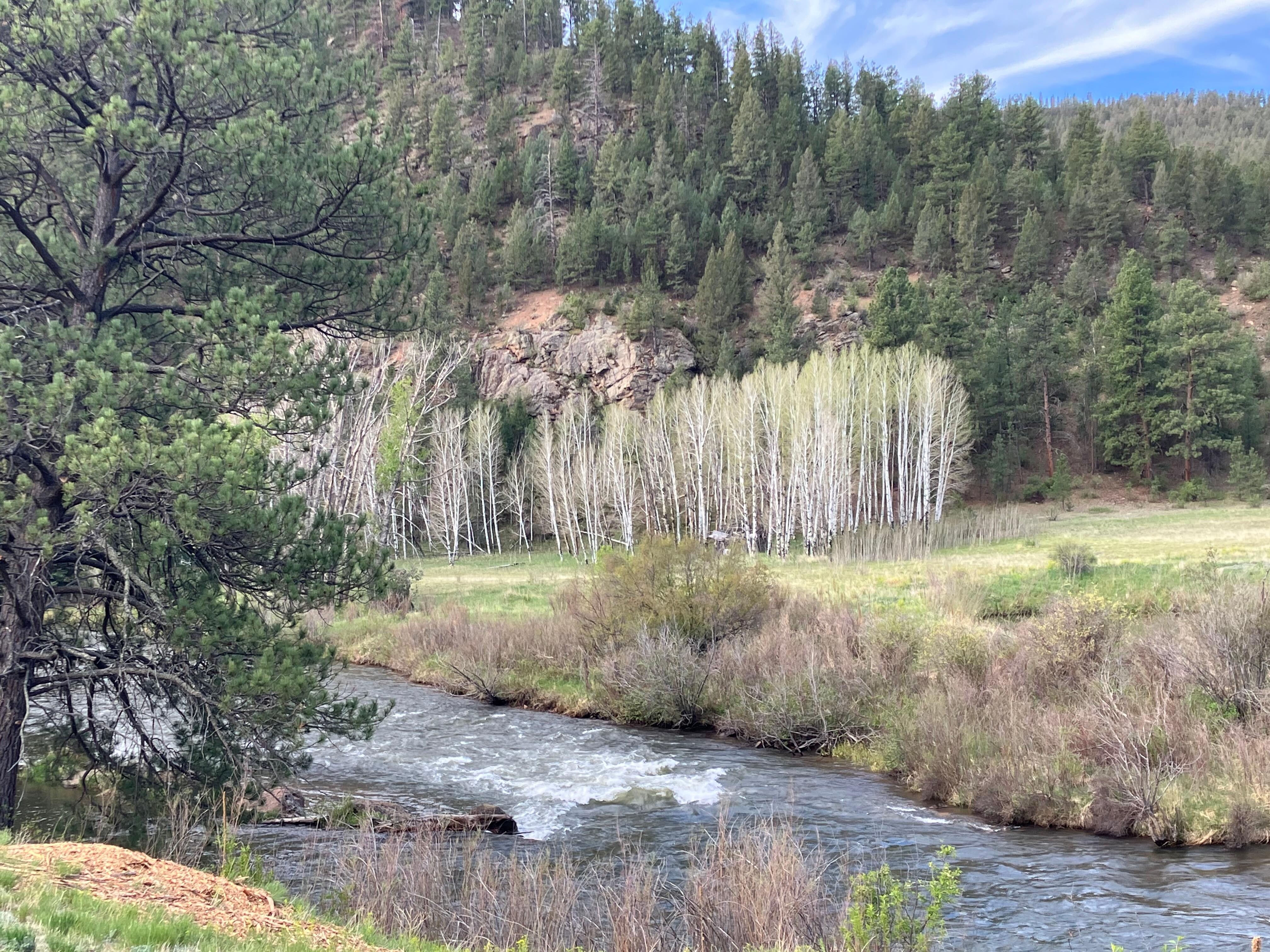 Views while walking.