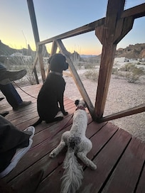 We loved that our dogs could be part of the adventure here.