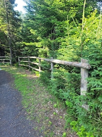 Walking trail