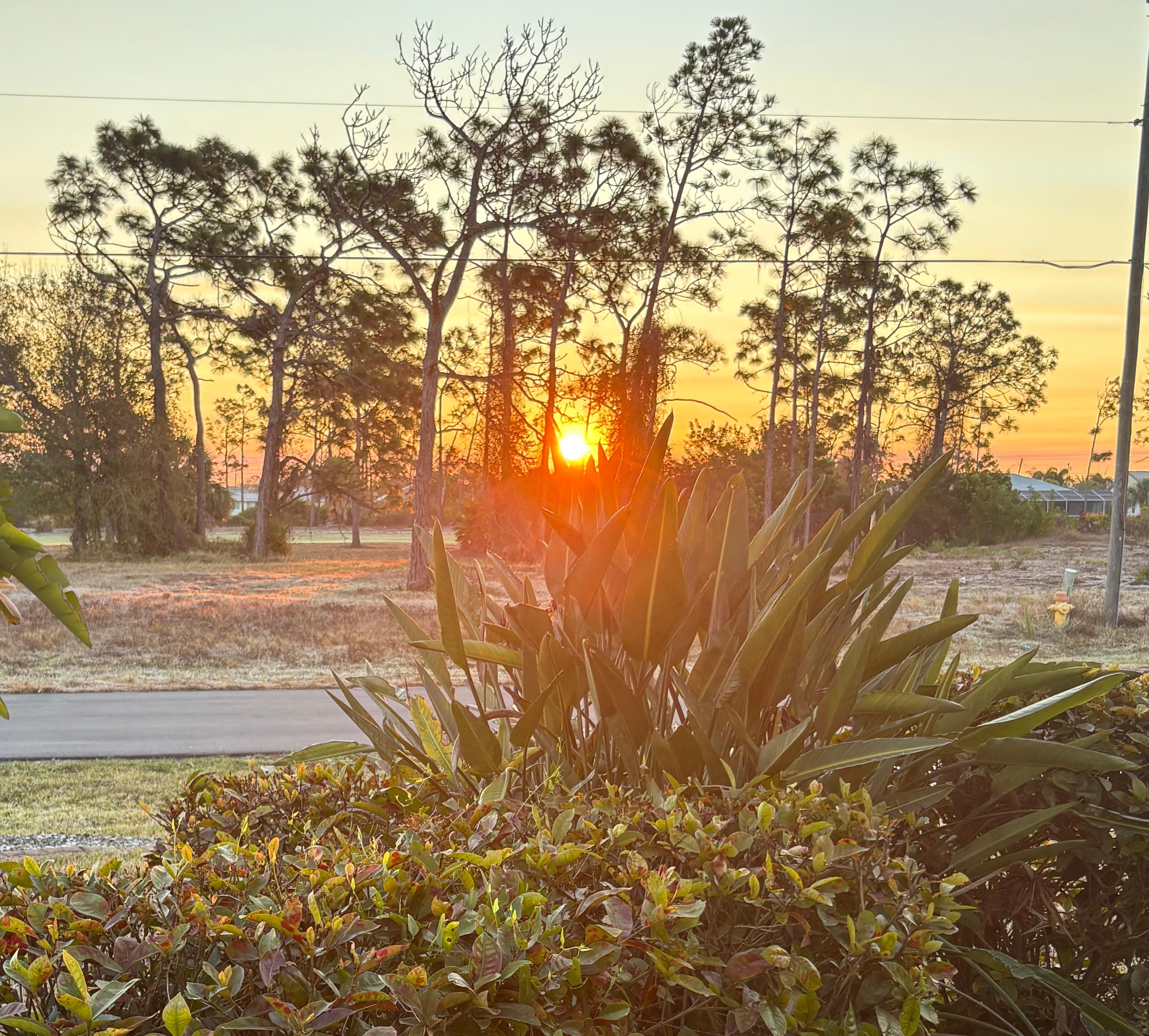 Sunrise across the street.
