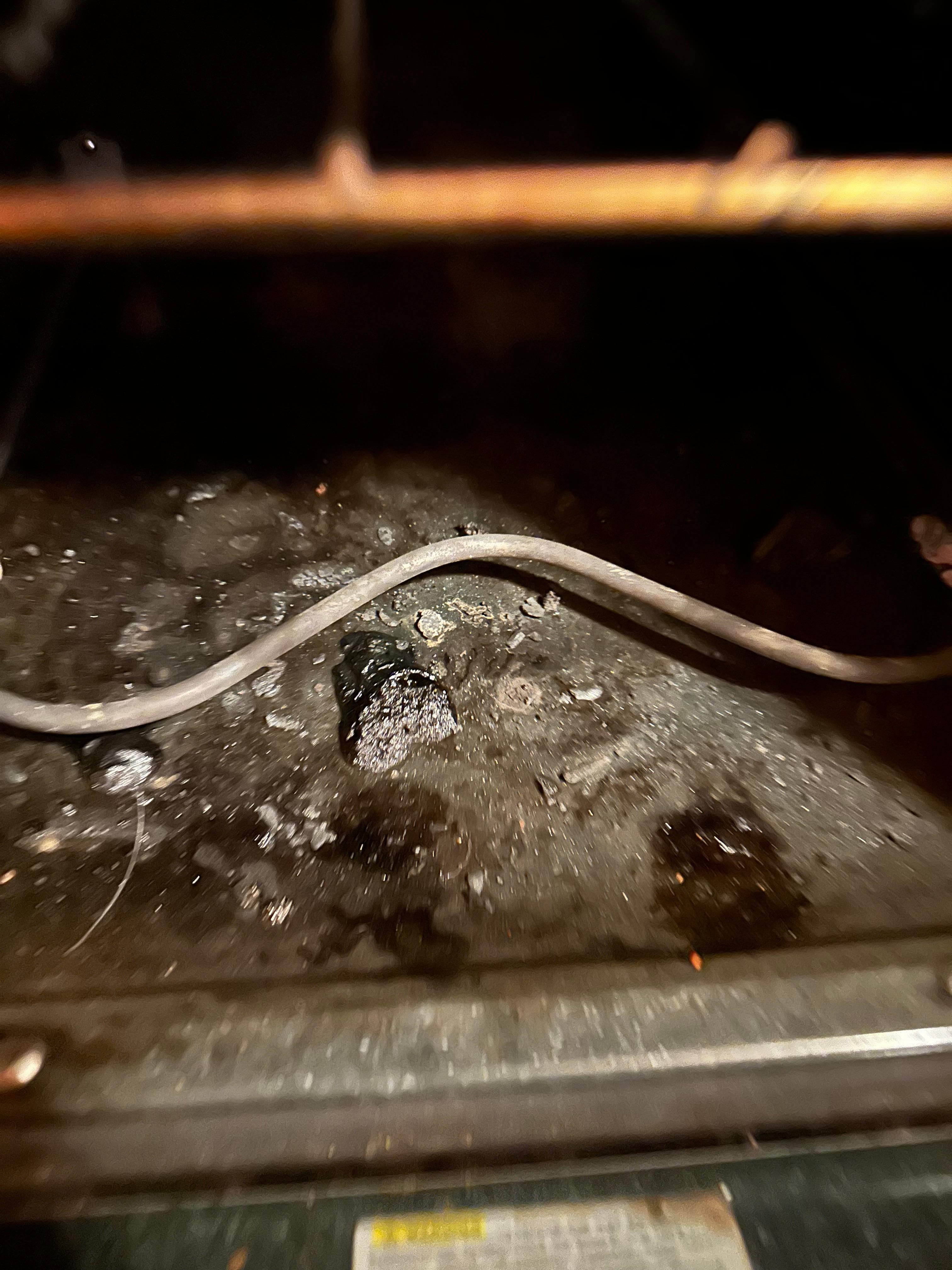 Dirty oven