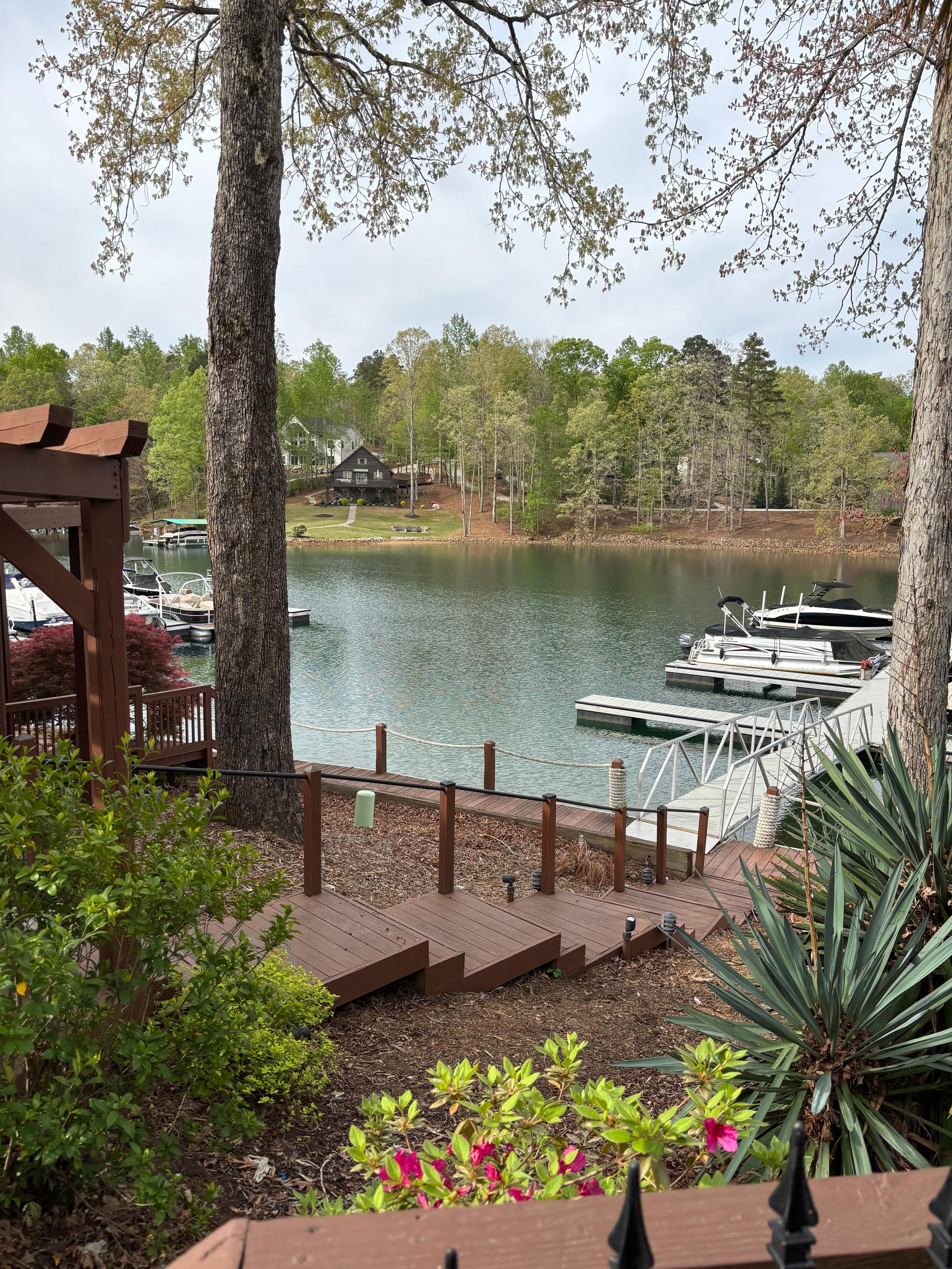 view from ground level