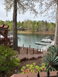 view from ground level