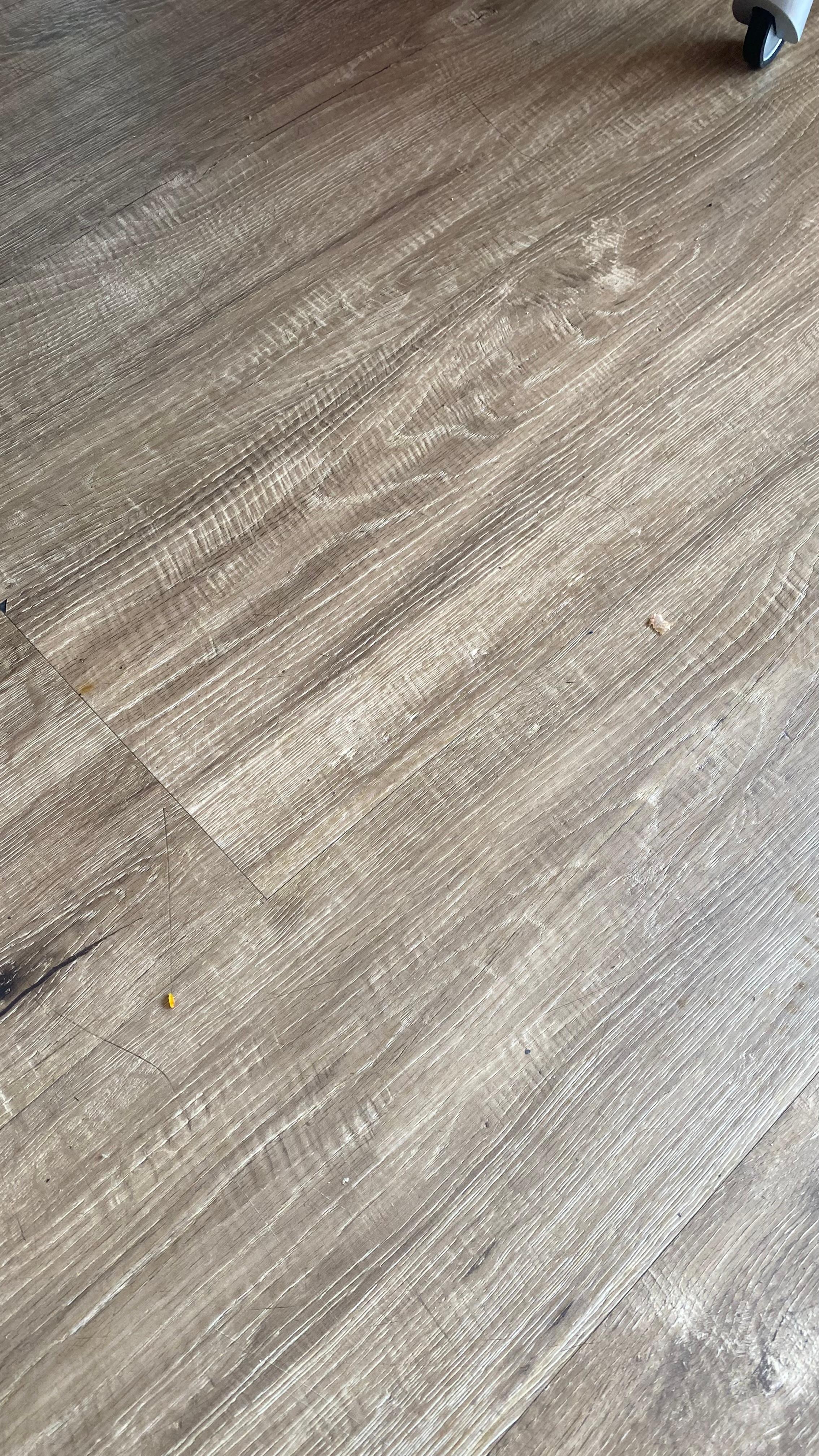 Filthy floors, hair and food on floors