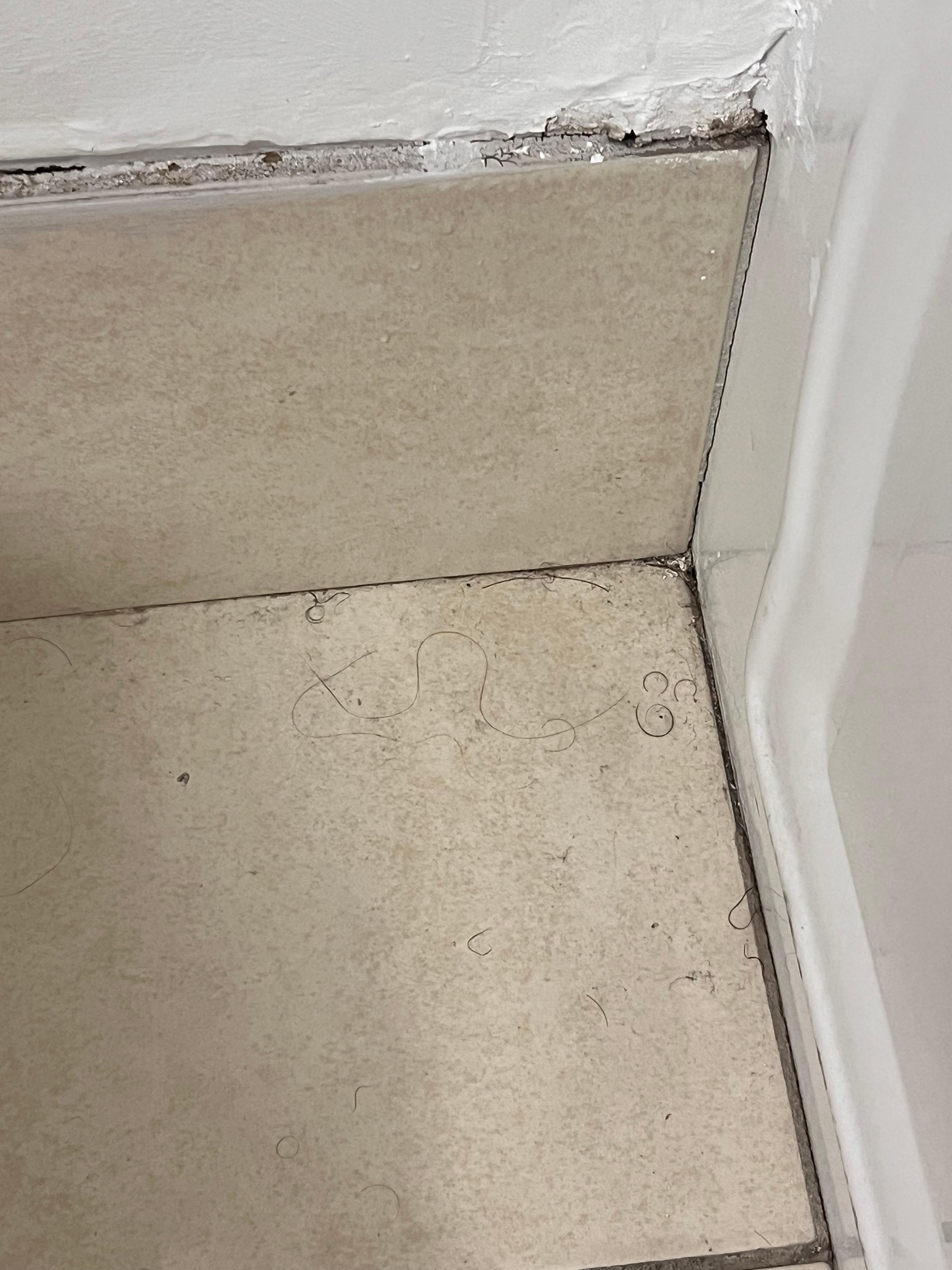 Hair on the floor in the corner of the bathroom next to the tub