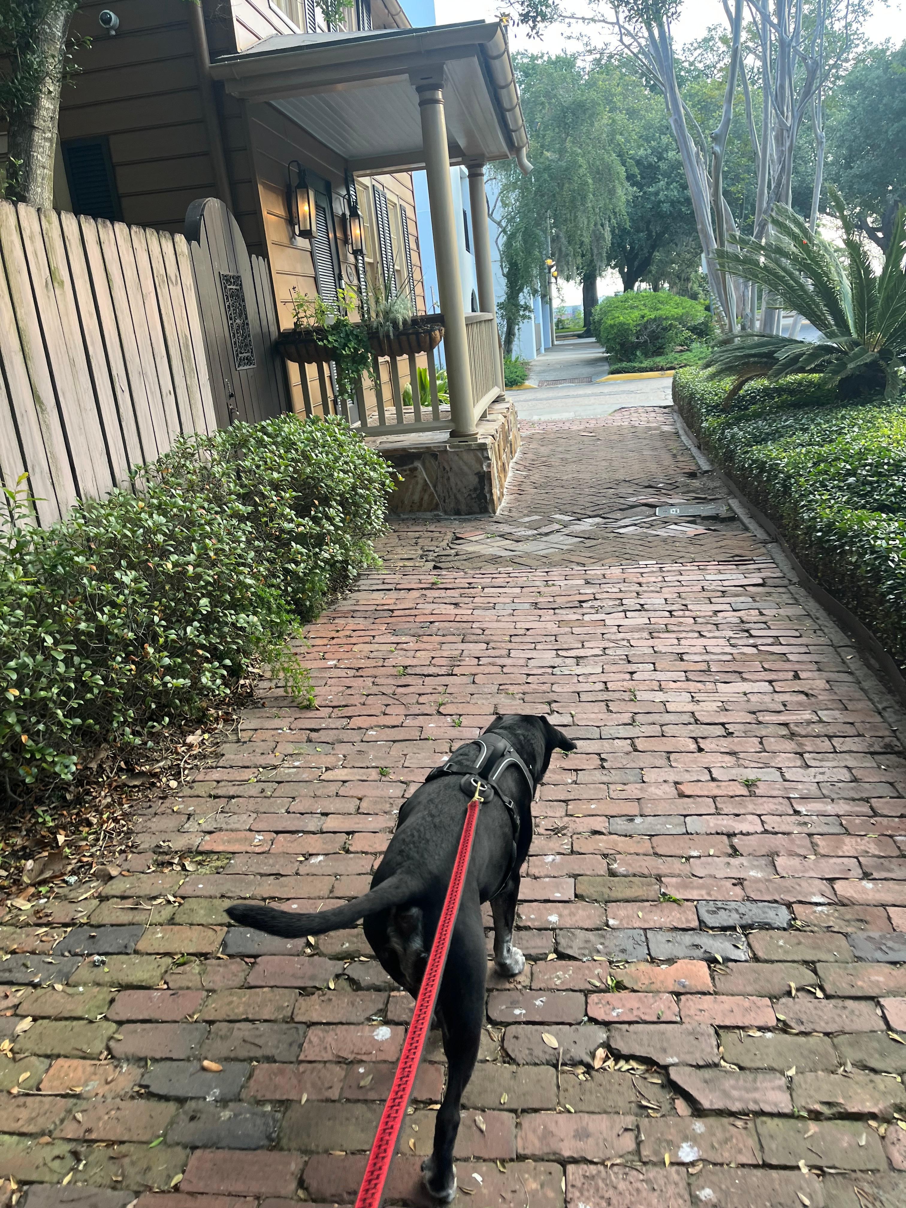 Quaint private streets all behind the hotel!