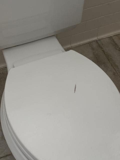 Questionable stains on toilet 