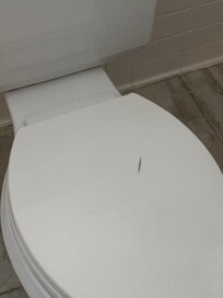 Questionable stains on toilet
