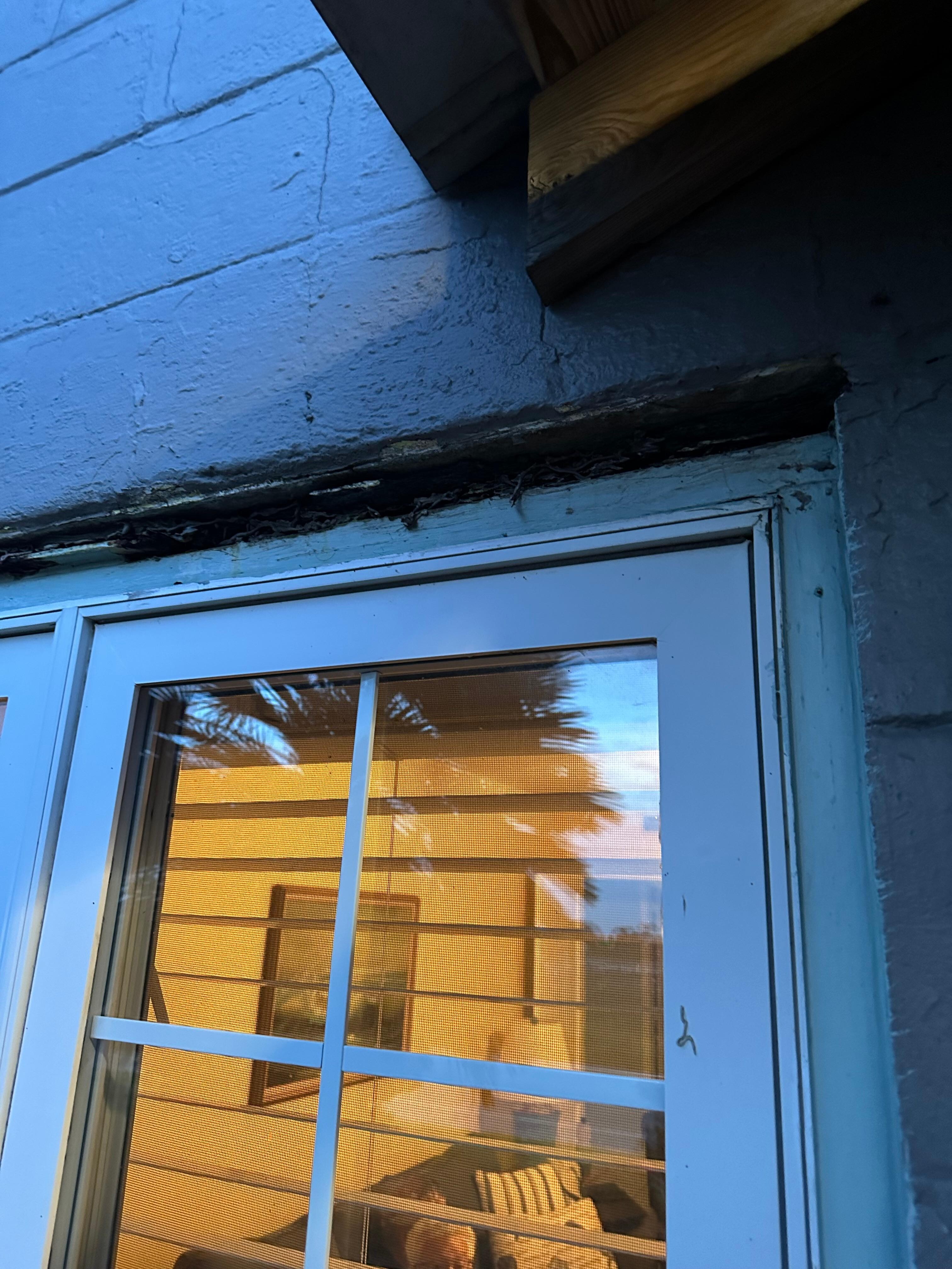 Front window showing rotten wood above the window. 
