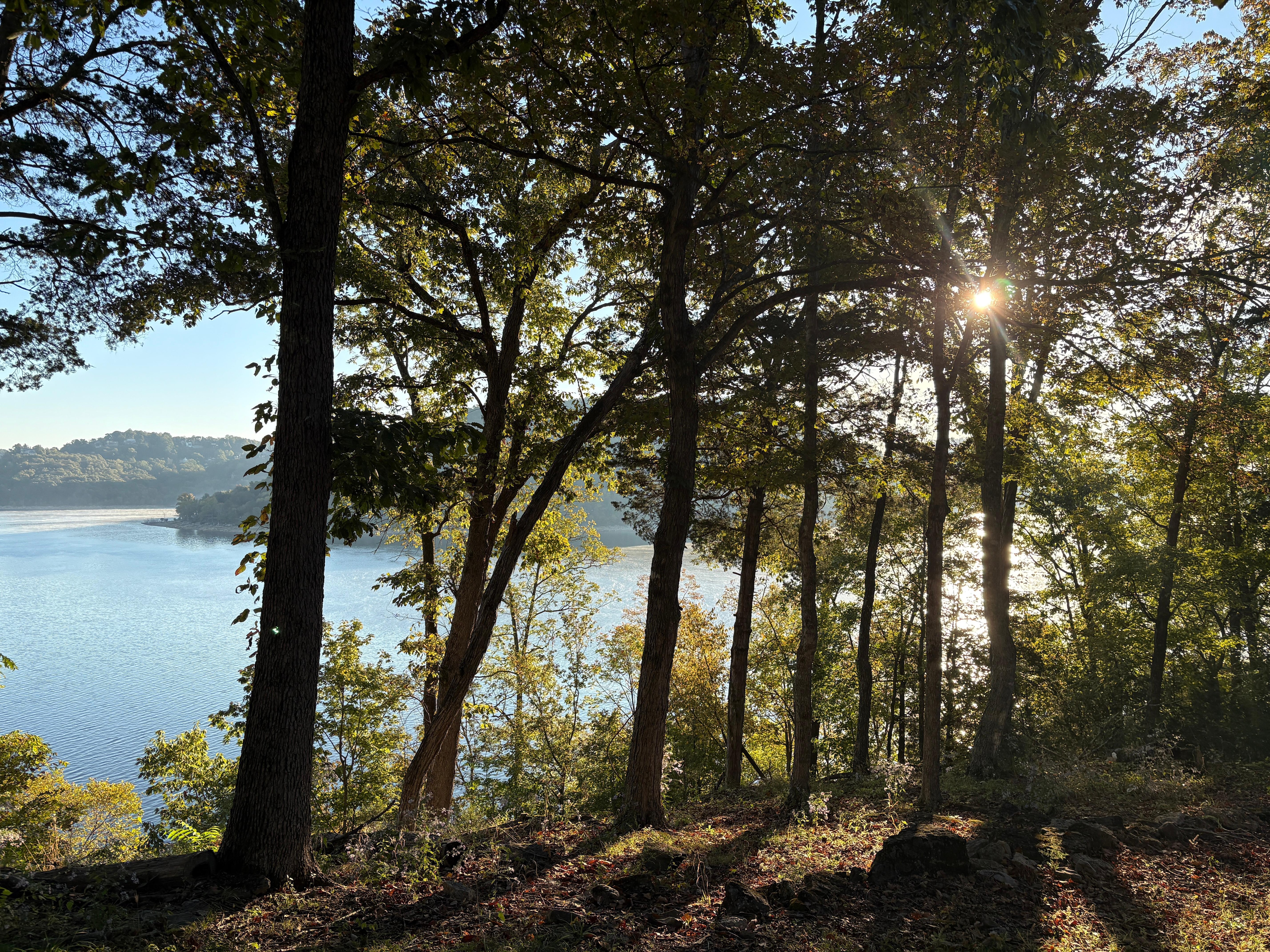 Lake view across from the house