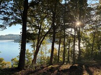 Lake view across from the house