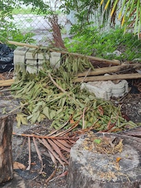 This is just inside the fence to the back yard.