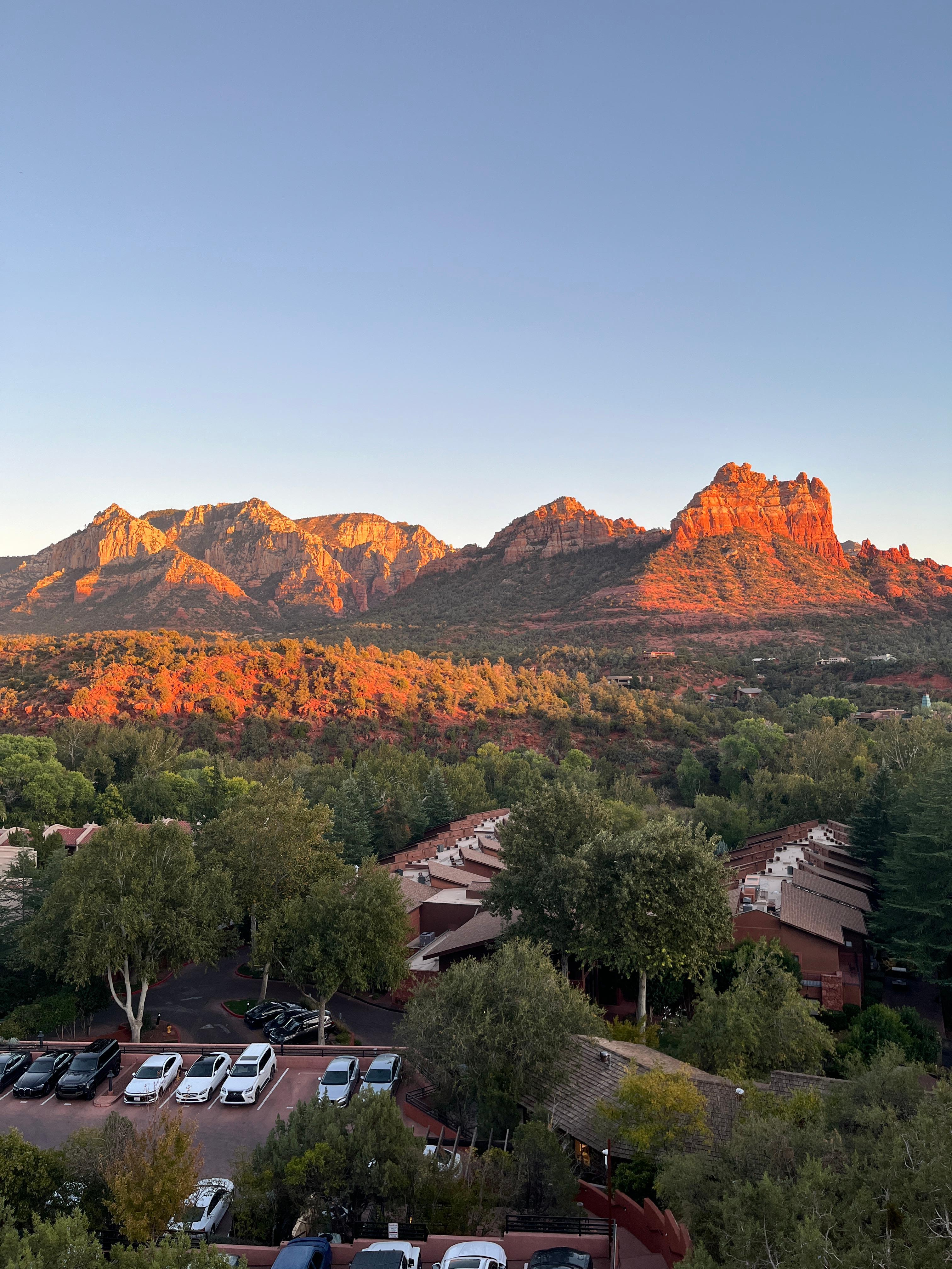 View from rooms