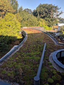 The "Bio" roof