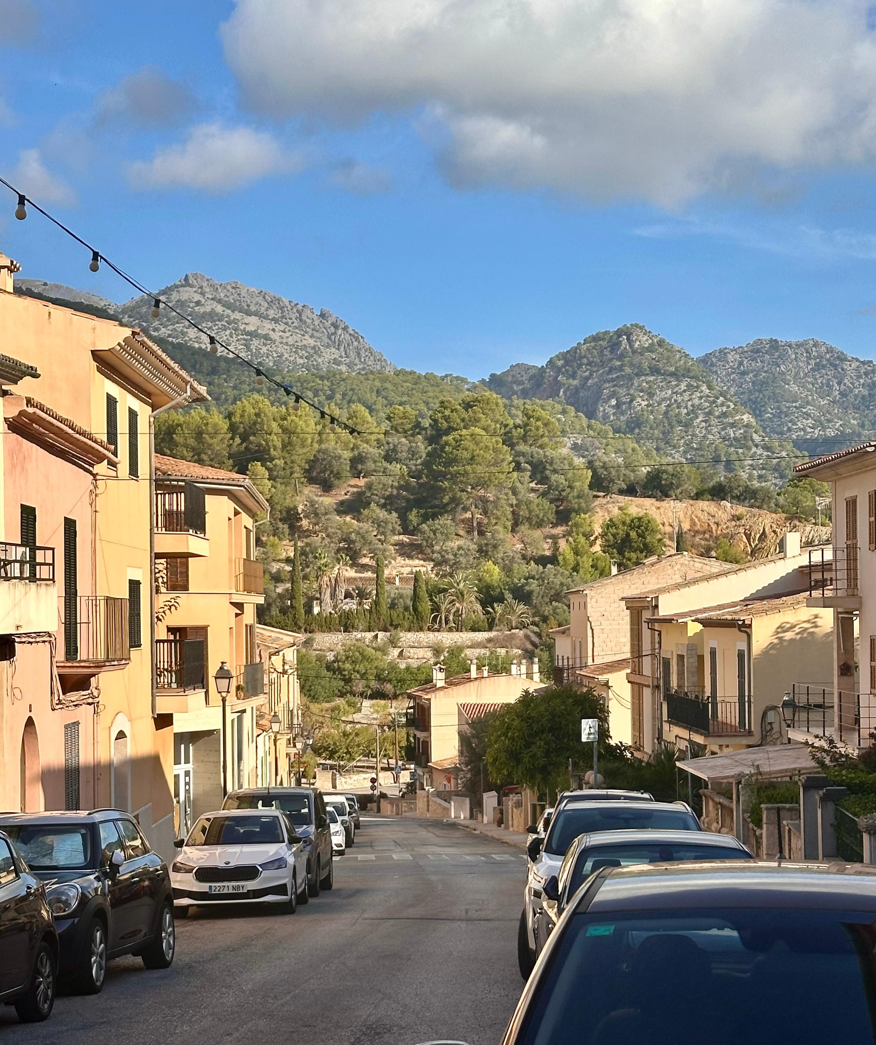 What a view towards the mountains 