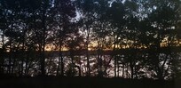 Beautiful Sunrise