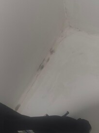 Black mold in bathroom