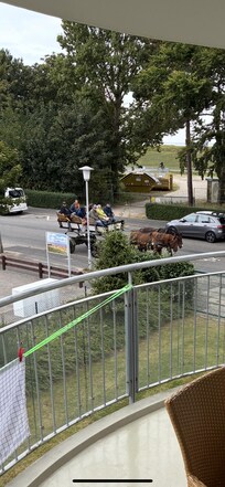 Kutschen sind immer gut besetzt