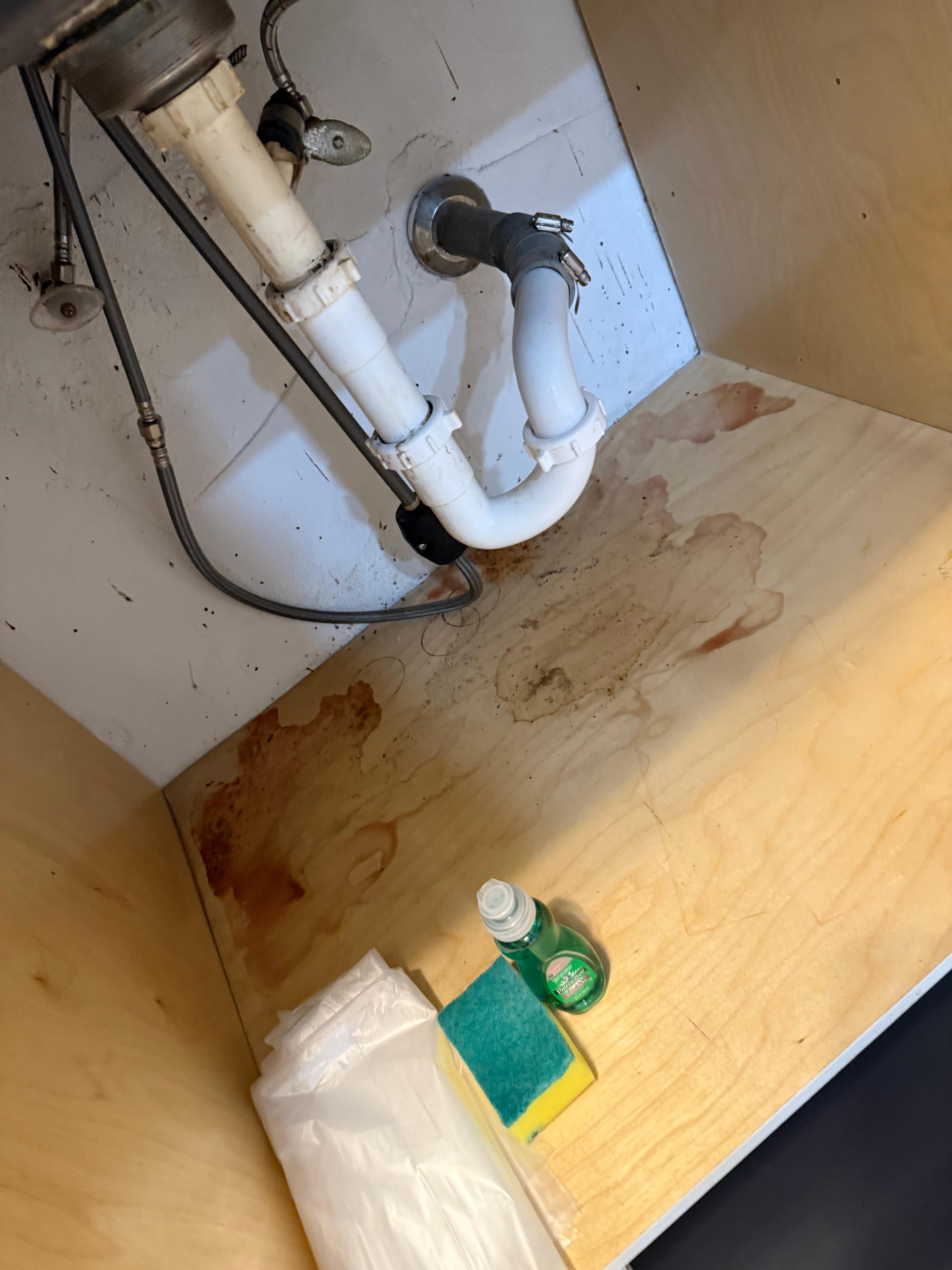 Disgusting residue under the main kitchen sink! Black spots are bugs and mold!