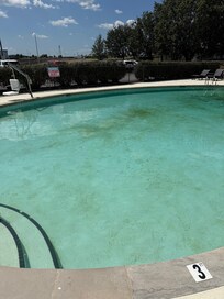Algae filled pool