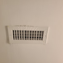Vents in both bathrooms had mildew that was wiped away but still there