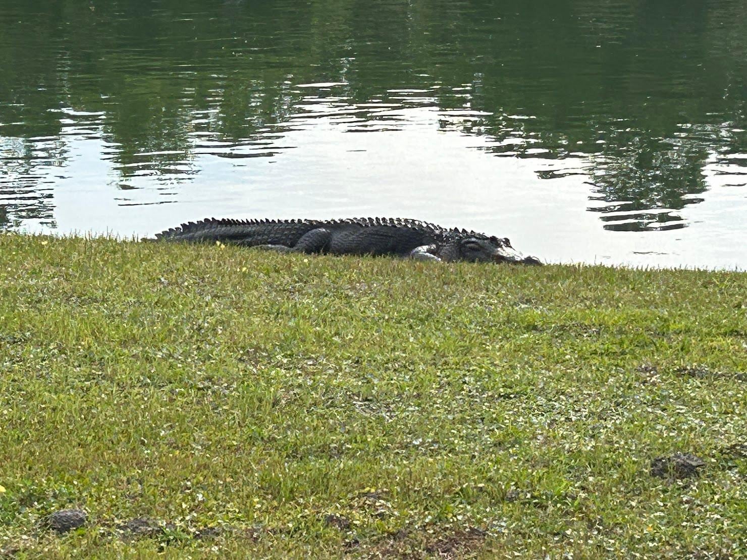 one of dozens we saw