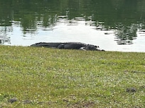 one of dozens we saw