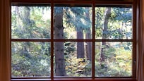 Rundumfensterblick 2