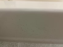 Brown spots I can only assume from using the toilet, and not being cleaned